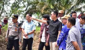 Bupati OKI Blusukan Cek Lahan Cetak Sawah dan Pembangunan Jalan