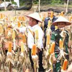 Provinsi Sumatera Selatan (Sumsel) mendapat apresiasi tinggi dari Kementerian Pertanian (Kementan) RI karena berani menjadi pionir dalam inovasi pertanian.