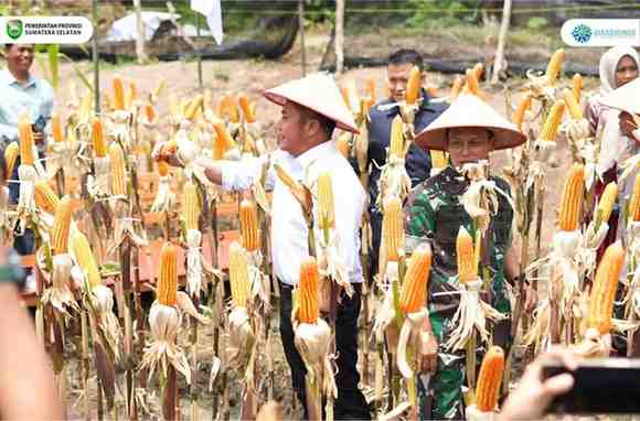 Provinsi Sumatera Selatan (Sumsel) mendapat apresiasi tinggi dari Kementerian Pertanian (Kementan) RI karena berani menjadi pionir dalam inovasi pertanian.