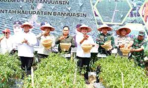 kegiatan panen cabai sebanyak 4 ton di kawasan Kompi Produksi yang dipimpin langsung oleh Bupati Banyuasin, Dr. H. Askolani,S.H.,M.H bersama Sekda Banyuasin, Ir. Erwin Ibrahim,S.T., M.M.,M.B.A., IPU, Asean, Eng dan Dandim 04/30, Letkol. Inf. Handoyo Yudi Prasetyo,S.E. kegiatan panen cabai sebanyak 4 ton di kawasan Kompi Produksi yang dipimpin langsung oleh Bupati Banyuasin, Dr. H. Askolani,S.H.,M.H bersama Sekda Banyuasin, Ir. Erwin Ibrahim,S.T., M.M.,M.B.A., IPU, Asean, Eng dan Dandim 04/30, Letkol. Inf. Handoyo Yudi Prasetyo,S.E.