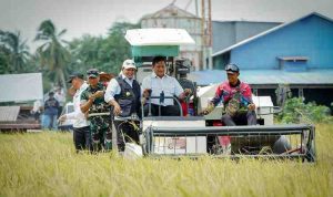Dr. H. Askolani, S.H., M.H, dan Kepala Desa Telang Rejo, Kecamatan Muara Telang di lokasi acara, Kamis, (22/1/2025). Dr. H. Askolani, S.H., M.H, dan Kepala Desa Telang Rejo, Kecamatan Muara Telang di lokasi acara, Kamis, (22/1/2025).