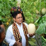 Wakil Menteri Transmigrasi, Viva Yoga Mauladi, saat melakukan Panen Melon di Kabupaten Mesuji, Provinsi Lampung. (foto : transmigrasi.go.id)