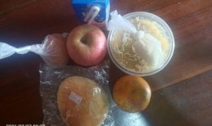 Menu Program Makan Bergizi Gratis (MBG)