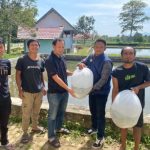 Unit Pelaksana Teknis Daerah (UPTD) Balai Benih Ikan Kota Pagar Alam kembali menyalurkan benih ikan nila berukuran 4–6 sentimeter kepada masyarakat. (MUSINEWS.ID/HAIRUDIN)