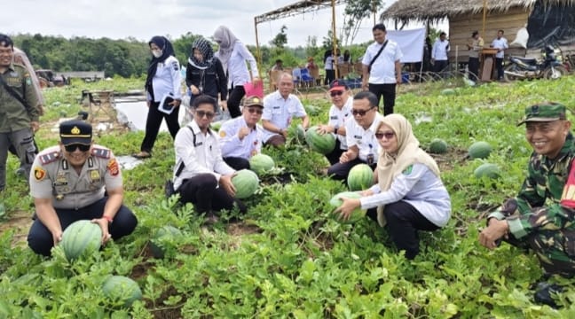 Badan Usaha Milik Desa (Bumdes) Desa Karangan menggelar panen raya buah semangka, Rabu 11 Maret 2026 pukul 10.00 WIB.