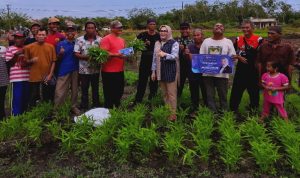 Hj Eva Susanti S.E, MM, melaksanakan kunjungan reses dengan menyerap langsung aspirasi masyarakat kelompok tani palawija di Desa Sungai Rambutan, Kecamatan Indralaya Utara, Kabupaten Ogan Ilir, Senin (4/5/2026).