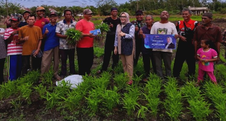 Hj Eva Susanti S.E, MM, melaksanakan kunjungan reses dengan menyerap langsung aspirasi masyarakat kelompok tani palawija di Desa Sungai Rambutan, Kecamatan Indralaya Utara, Kabupaten Ogan Ilir, Senin (4/5/2026).