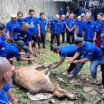 Ketua DPC Partai Demokrat Palembang Yudha Pratomo Mahyuddin saat penyembelihan hewan kurban Idul Adha 1447 Hijriah