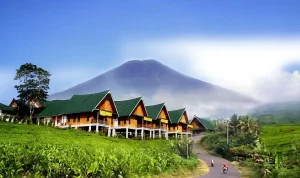 Gunung Dempo. (ist)