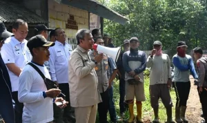 Panitia Khusus (Pansus) Perkebunan Dewan Perwakilan Rakyat Daerah (DPRD) Provinsi Sumatra Selatan (Sumsel) turun langsung ke lapangan, guna mengawal proses penyerahan hak garap lahan eks Gembala kepada masyarakat Desa Tanjung Baru, Kecamatan Indralaya Utara, Kabupaten Ogan Ilir. (MUSINEWS.ID/TRY) Panitia Khusus (Pansus) Perkebunan Dewan Perwakilan Rakyat Daerah (DPRD) Provinsi Sumatra Selatan (Sumsel) turun langsung ke lapangan, guna mengawal proses penyerahan hak garap lahan eks Gembala kepada masyarakat Desa Tanjung Baru, Kecamatan Indralaya Utara, Kabupaten Ogan Ilir. (MUSINEWS.ID/TRY)